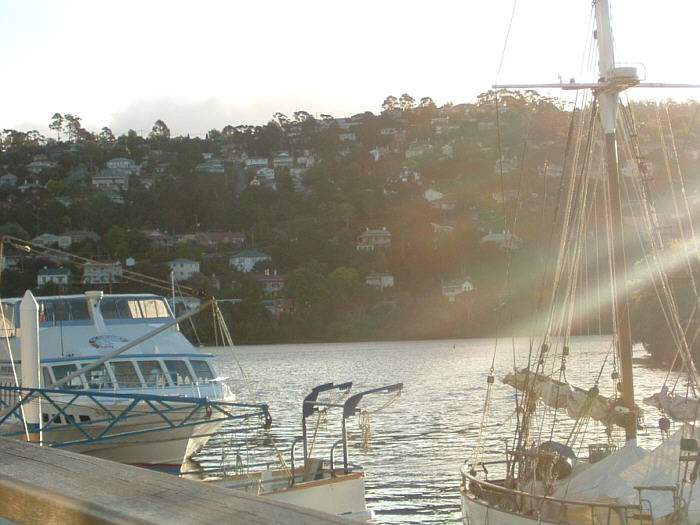 05 Tasmania.jpg